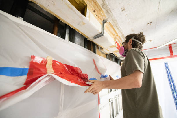 Reliable Country Lake Estates, NJ Mold Removal Solutions