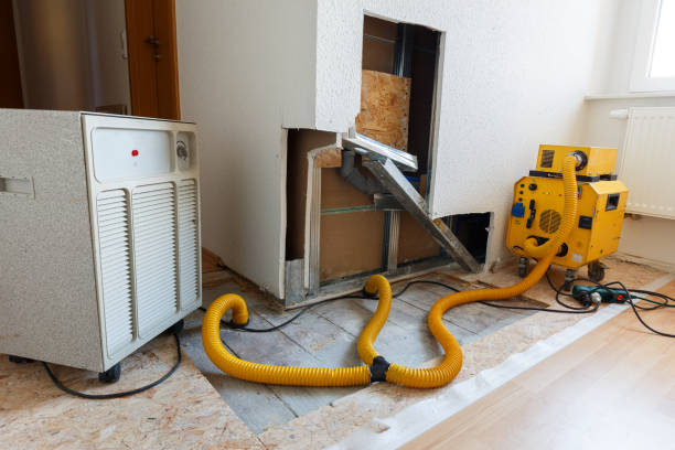Best Comprehensive Air Testing for Mold Contaminants  in Country Lake Estates, NJ